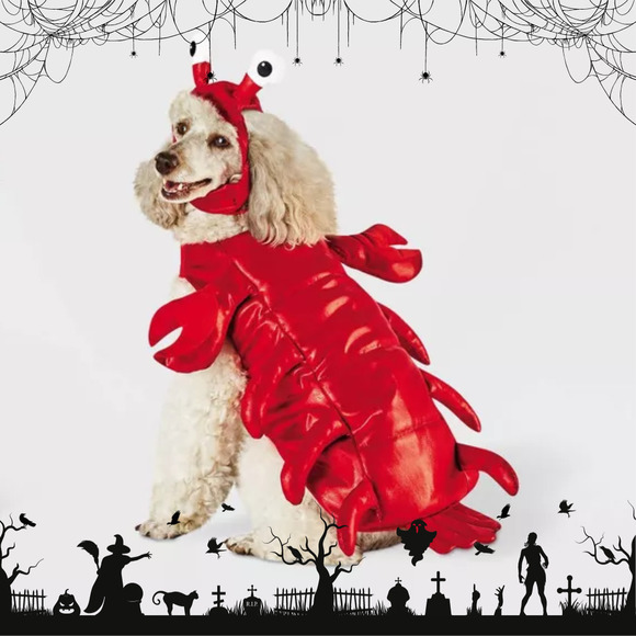 Hyde & EEK! Boutique Other - Nwot Size M Lobster Dog and Cat Costume